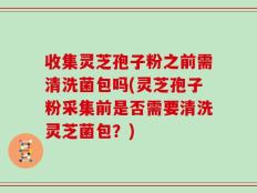 收集灵芝孢子粉之前需清洗菌包吗(灵芝孢子粉采集前是否需要清洗灵芝菌包？)