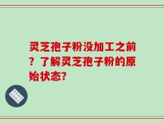 灵芝孢子粉没加工之前？了解灵芝孢子粉的原始状态？