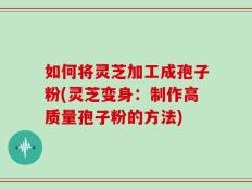 如何将灵芝加工成孢子粉(灵芝变身：制作高质量孢子粉的方法)