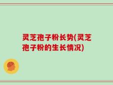 灵芝孢子粉长势(灵芝孢子粉的生长情况)