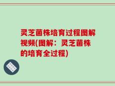 灵芝菌株培育过程图解视频(图解：灵芝菌株的培育全过程)