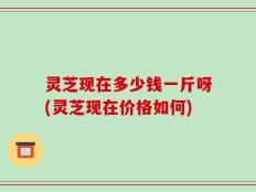 灵芝现在多少钱一斤呀(灵芝现在价格如何)