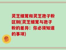 灵芝细茸和灵芝孢子粉区别(灵芝细茸与孢子粉的差异：你必须知道的事项)