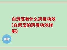 白灵芝有什么药用功效(白灵芝的药用功效详解)