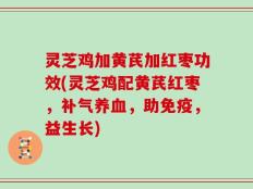 灵芝鸡加黄芪加红枣功效(灵芝鸡配黄芪红枣，补气养血，助免疫，益生长)