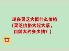 现在灵芝大概什么价格(灵芝价格大起大落， 目前大约多少钱？)