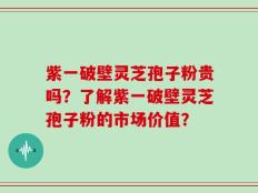 紫一破壁灵芝孢子粉贵吗？了解紫一破壁灵芝孢子粉的市场价值？