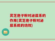 灵芝孢子粉对泌尿系的作用(灵芝孢子粉对泌尿系统的功效)