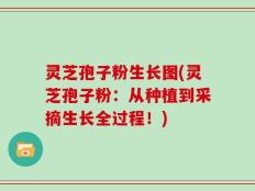 灵芝孢子粉生长图(灵芝孢子粉：从种植到采摘生长全过程！)