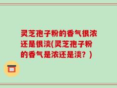 灵芝孢子粉的香气很浓还是很淡(灵芝孢子粉的香气是浓还是淡？)