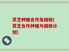 灵芝种植合作及回收(灵芝合作种植与回收计划)