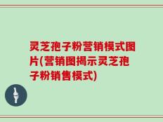 灵芝孢子粉营销模式图片(营销图揭示灵芝孢子粉销售模式)