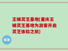 王娣灵芝基地(重庆王娣灵芝基地为游客开启灵芝体验之旅)
