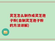 灵芝怎么制作成灵芝孢子粉(自制灵芝孢子粉的方法详解)