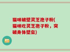 猫咪破壁灵芝孢子粉(猫咪吃灵芝孢子粉，突破身体壁垒)