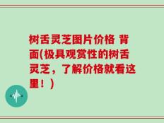 树舌灵芝图片价格 背面(极具观赏性的树舌灵芝，了解价格就看这里！)