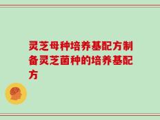 灵芝母种培养基配方制备灵芝菌种的培养基配方