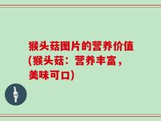 猴头菇图片的营养价值(猴头菇：营养丰富，美味可口)