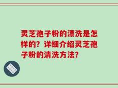 灵芝孢子粉的漂洗是怎样的？详细介绍灵芝孢子粉的清洗方法？