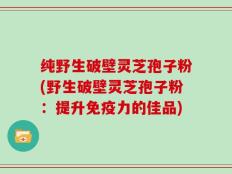 纯野生破壁灵芝孢子粉(野生破壁灵芝孢子粉：提升免疫力的佳品)
