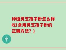 种植灵芝孢子粉怎么样吃(食用灵芝孢子粉的正确方法？)