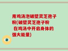 用鸡汤泡破壁灵芝孢子粉(破壁灵芝孢子粉  在鸡汤中开启身体的强大能量)