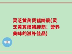 灵芝黄芪煲猪蹄筋(灵芝黄芪煨猪蹄筋：营养美味的滋补佳品)