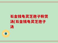石金钱龟灵芝孢子粉煲汤(石金钱龟灵芝孢子汤