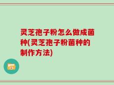 灵芝孢子粉怎么做成菌种(灵芝孢子粉菌种的制作方法)