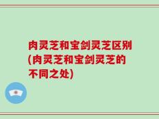 肉灵芝和宝剑灵芝区别(肉灵芝和宝剑灵芝的不同之处)