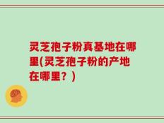 灵芝孢子粉真基地在哪里(灵芝孢子粉的产地在哪里？)