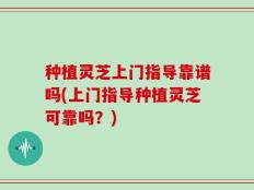 种植灵芝上门指导靠谱吗(上门指导种植灵芝可靠吗？)