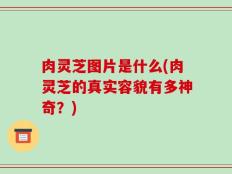 肉灵芝图片是什么(肉灵芝的真实容貌有多神奇？)