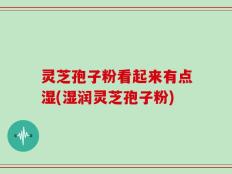 灵芝孢子粉看起来有点湿(湿润灵芝孢子粉)