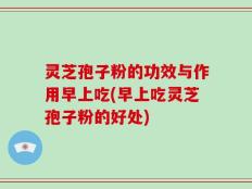 灵芝孢子粉的功效与作用早上吃(早上吃灵芝孢子粉的好处)