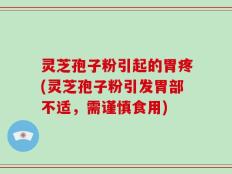 灵芝孢子粉引起的胃疼(灵芝孢子粉引发胃部不适，需谨慎食用)