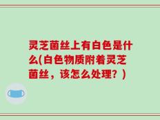 灵芝菌丝上有白色是什么(白色物质附着灵芝菌丝，该怎么处理？)