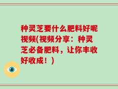 种灵芝要什么肥料好呢视频(视频分享：种灵芝必备肥料，让你丰收好收成！)