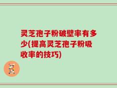 灵芝孢子粉破壁率有多少(提高灵芝孢子粉吸收率的技巧)