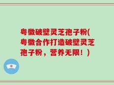 粤徽破壁灵芝孢子粉(粤徽合作打造破壁灵芝孢子粉，营养无限！)