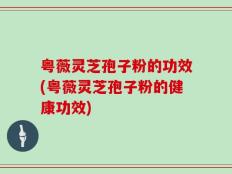 粤薇灵芝孢子粉的功效(粤薇灵芝孢子粉的健康功效)