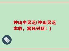 神山中灵芝(神山灵芝丰收，富民兴区！)