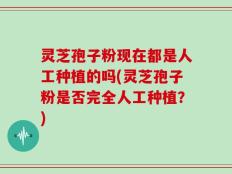 灵芝孢子粉现在都是人工种植的吗(灵芝孢子粉是否完全人工种植？)