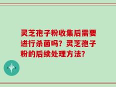 灵芝孢子粉收集后需要进行杀菌吗？灵芝孢子粉的后续处理方法？