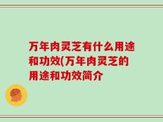 万年肉灵芝有什么用途和功效(万年肉灵芝的用途和功效简介