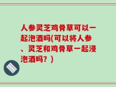 人参灵芝鸡骨草可以一起泡酒吗(可以将人参、灵芝和鸡骨草一起浸泡酒吗？)
