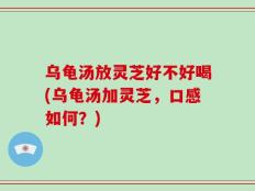 乌龟汤放灵芝好不好喝(乌龟汤加灵芝，口感如何？)
