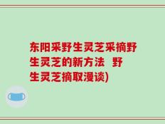 东阳采野生灵芝采摘野生灵芝的新方法  野生灵芝摘取漫谈)