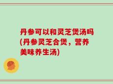丹参可以和灵芝煲汤吗(丹参灵芝合煲，营养美味养生汤)