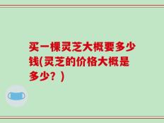 买一棵灵芝大概要多少钱(灵芝的价格大概是多少？)